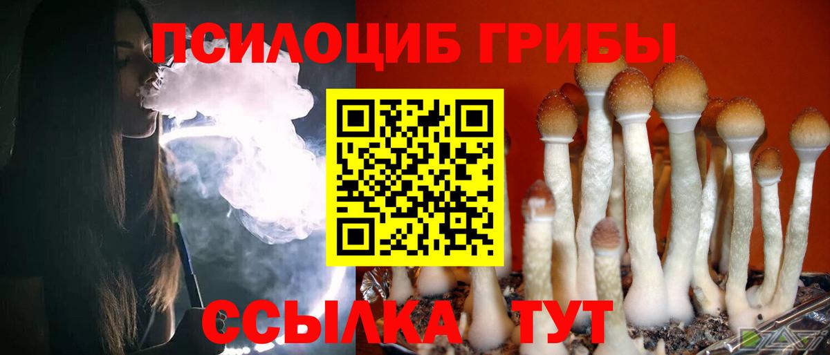 Псилоцибиновые грибы Psilocybine cubensis  Псилоцибиновые грибы GOLDEN TEACHER  Вход с VPN  Юрга 
